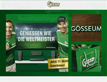 Tablet Screenshot of goesser.at